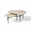 Salontafel set van hout en staal 120 x 80 x 45cm voor woonkamergebruik